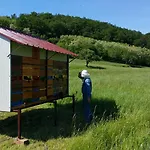 Bivanje na kmetiji Tourist Farm Pri Andrejevih