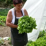 Bivanje na kmetiji Tourist Farm Pri Andrejevih