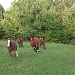 Bivanje na kmetiji Tourist Farm Pri Andrejevih
