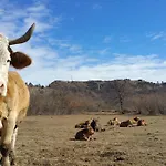 Tourist Farm Pri Andrejevih Bivanje na kmetiji *