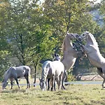 Tourist Farm Pri Andrejevih Bivanje na kmetiji Narin