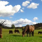 Tourist Farm Pri Andrejevih Narin