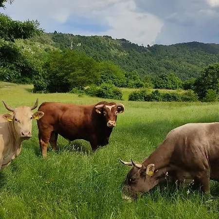 Tourist Farm Pri Andrejevih Narin