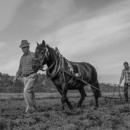 Tourist Farm Pri Andrejevih *