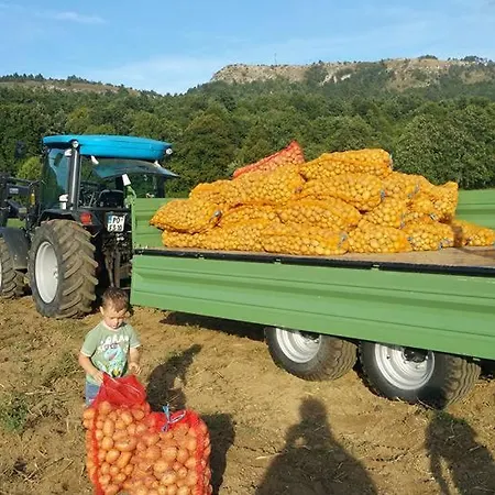 مزرعة للإقامة Tourist Farm Pri Andrejevih