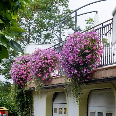 Tourist Farm Pri Andrejevih Bauernhof