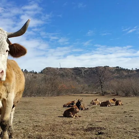 Tourist Farm Pri Andrejevih Farm stay *