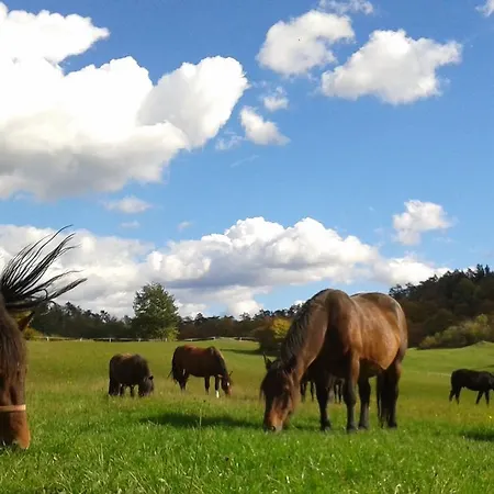 Tourist Farm Pri Andrejevih Narin