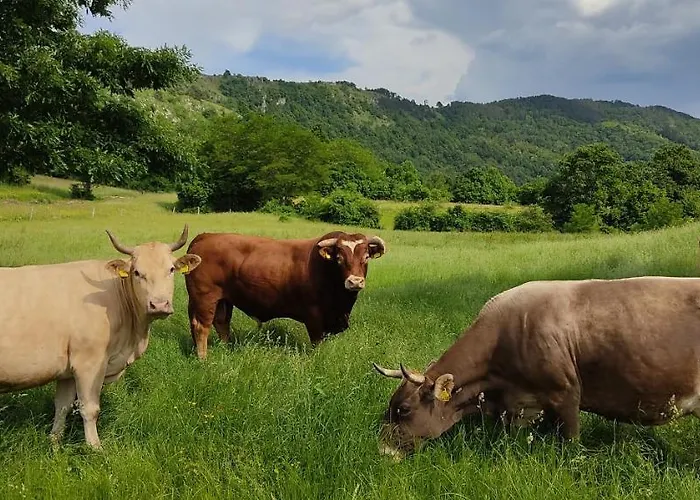 Tourist Farm Pri Andrejevih Narin