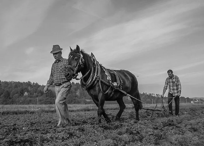 Tourist Farm Pri Andrejevih *