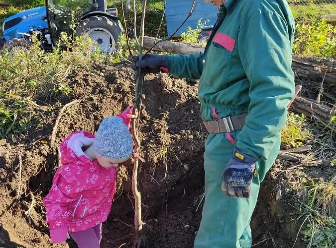 Tourist Farm Pri Andrejevih Narin