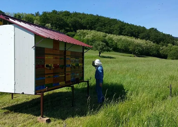 Farm stay Tourist Farm Pri Andrejevih