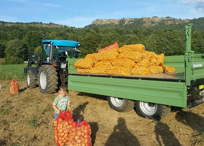 Farm stay Tourist Farm Pri Andrejevih