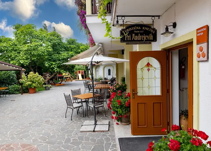 Tourist Farm Pri Andrejevih Narin