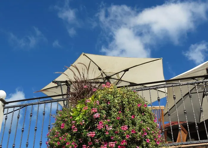 Tourist Farm Pri Andrejevih Farm stay Narin