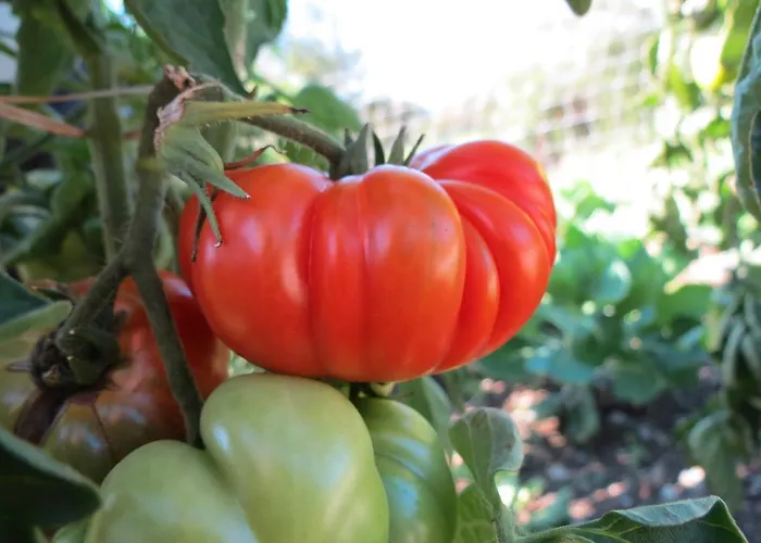 Tourist Farm Pri Andrejevih Narin