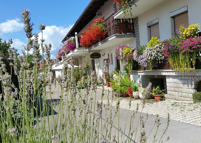 Tourist Farm Pri Andrejevih Farm stay