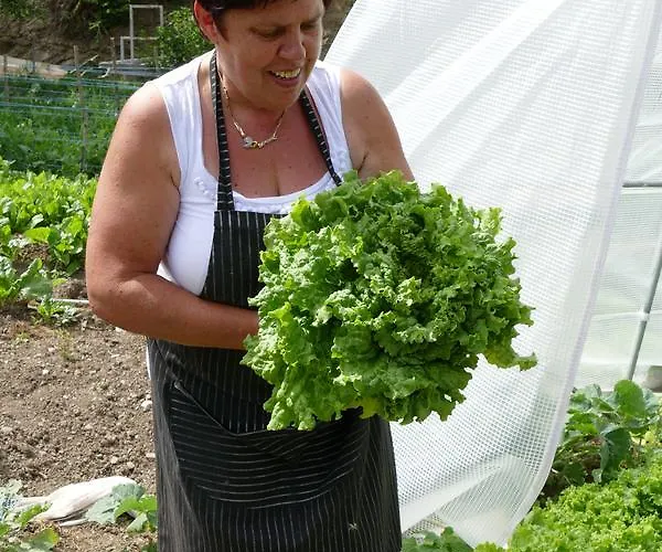 Feriegård Tourist Farm Pri Andrejevih