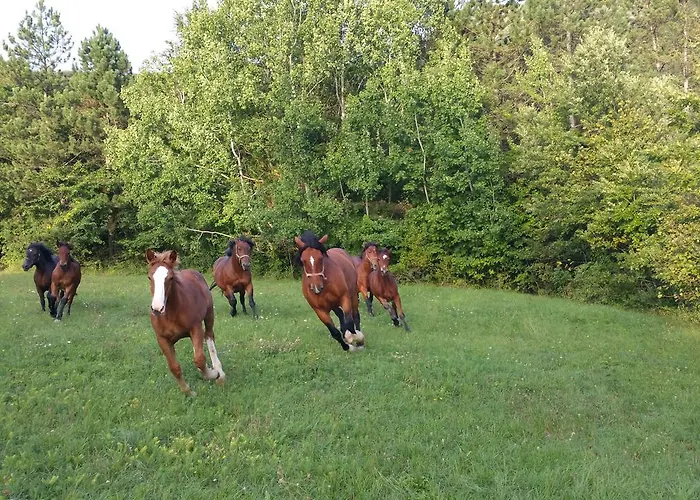 Farm stay Tourist Farm Pri Andrejevih