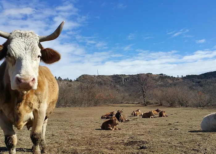 Tourist Farm Pri Andrejevih Farm stay *