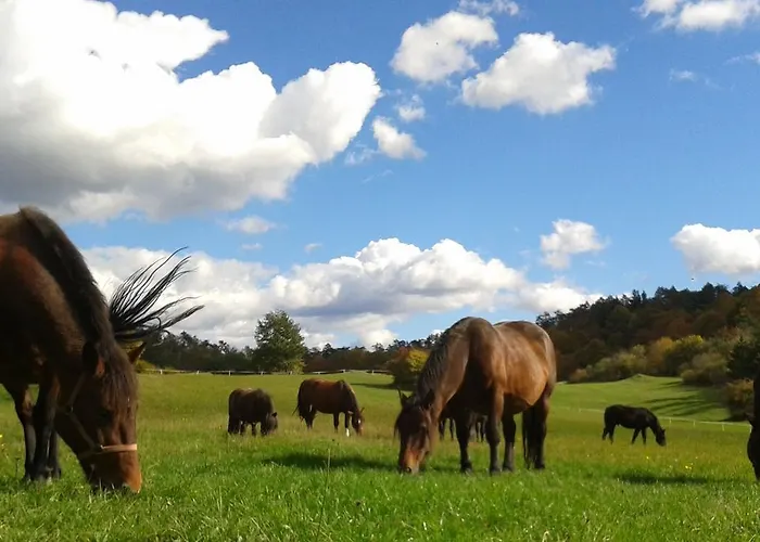 Tourist Farm Pri Andrejevih Narin